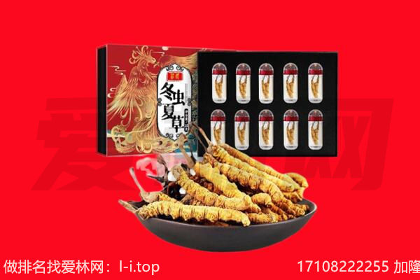 巴中回收虫草.jpg
